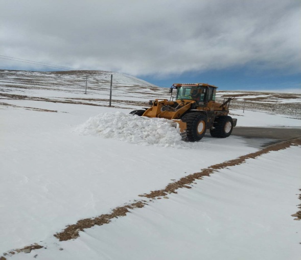 铲雪除冰保群众出行安全1.jpg